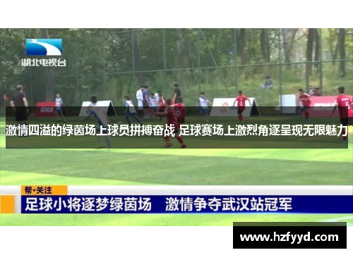 激情四溢的绿茵场上球员拼搏奋战 足球赛场上激烈角逐呈现无限魅力