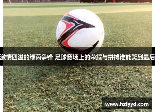 激情四溢的绿茵争锋 足球赛场上的荣耀与拼搏谁能笑到最后